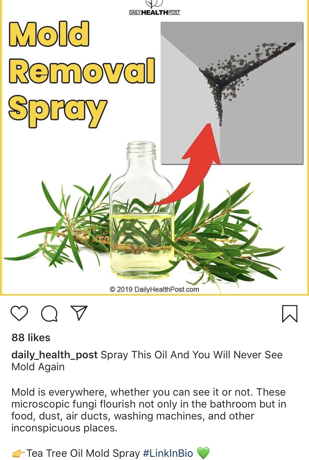 pin by jeanne guidry on essential oils mold removal spray health post essential oils coconut tree removal on pin by jeanne guidry on essential oils mold removal spray health post essential oils pinterest