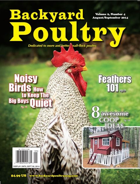 Pin By Backyard Poultry Magazine On Backyard Poultry Covers Bookmarking - Nope, no chickens in the backyard yet. But a girl can dream. - Pin By Backyard Poultry Magazine On Backyard Poultry Covers
