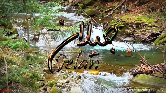 معنى اسم جيلان وصفات حامل هذا الاسم Jelan Garden Bridge Outdoor Structures Outdoor