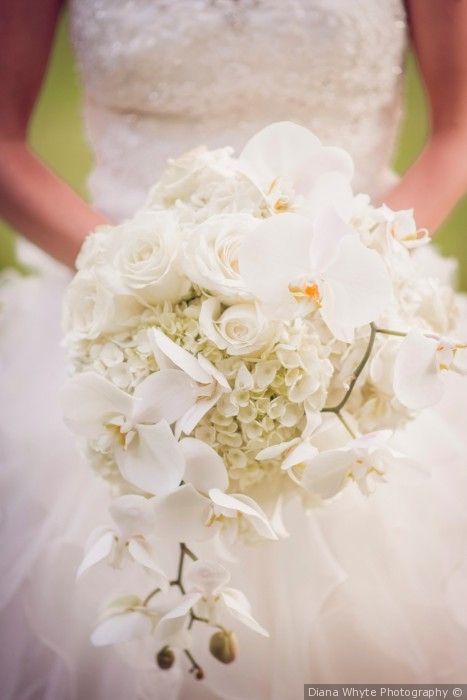 Beautiful White Orchid Rose And Hydrangea Bouquet Mark And