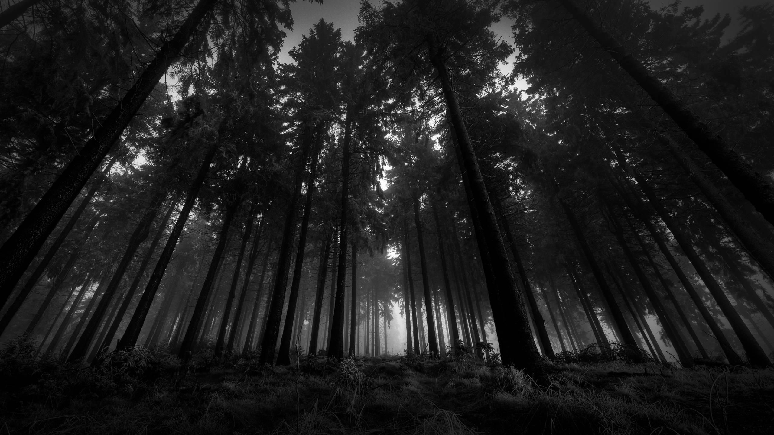 dark desktop backgrounds