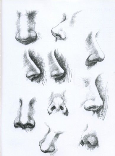 noses in different angles art pinterest draw nose drawing and art