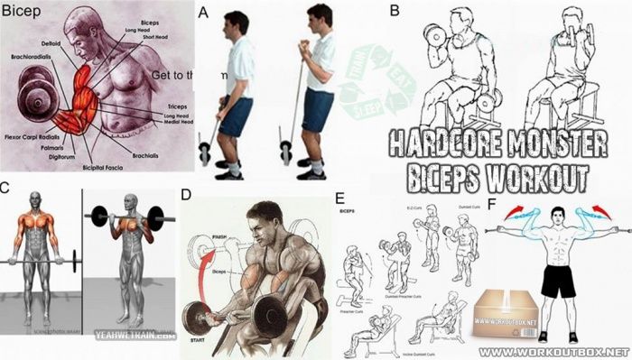 Hardcore Monster Biceps Workout Best Fitness Exercises Arms Ab