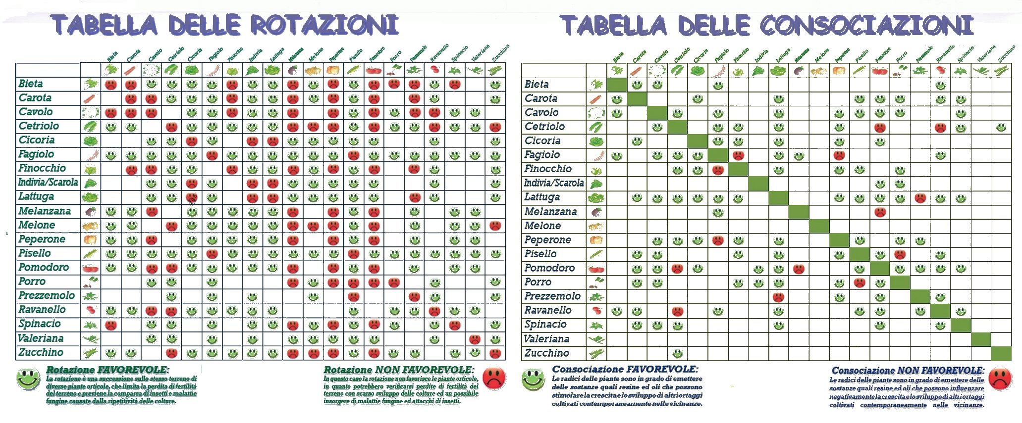Pin su Piante e giardini