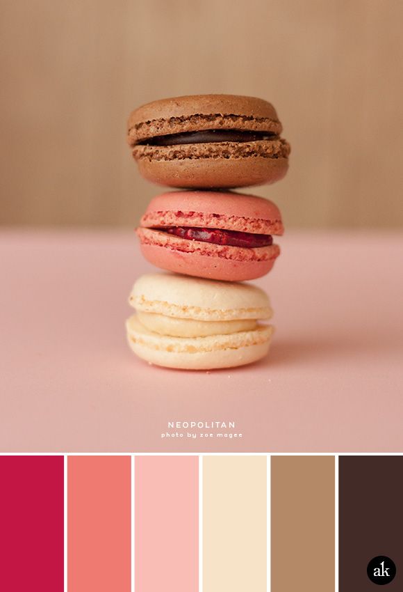 A Neopolitan Macaron Inspired Color Palette A Neopolitan Macaron Inspired Color Palette Strawberry Pink Vanilla Chocolate Brown