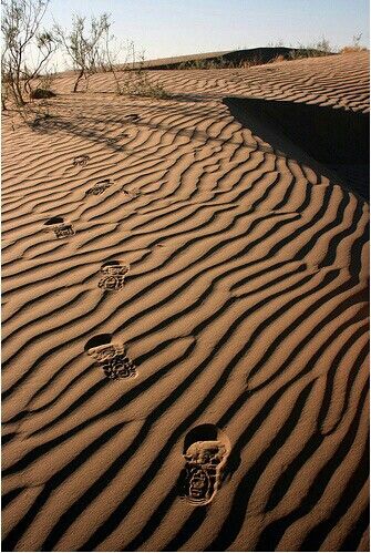 Karakum Desert Doga Manzara