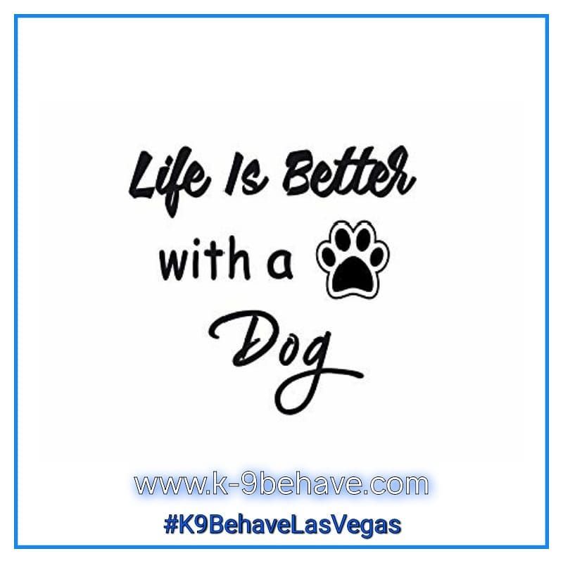 Wouldn T You Agree Behavioral Modification Training Positive