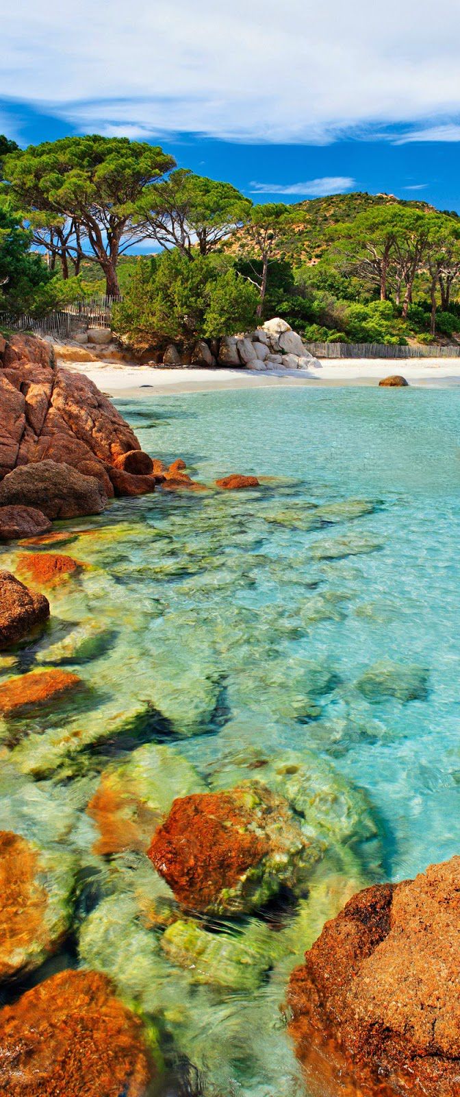 Palombaggia Beach Corsica France Fotos Korsika Urlaub Palombaggia Beach Corsica France Fotos Korsika Urlaub