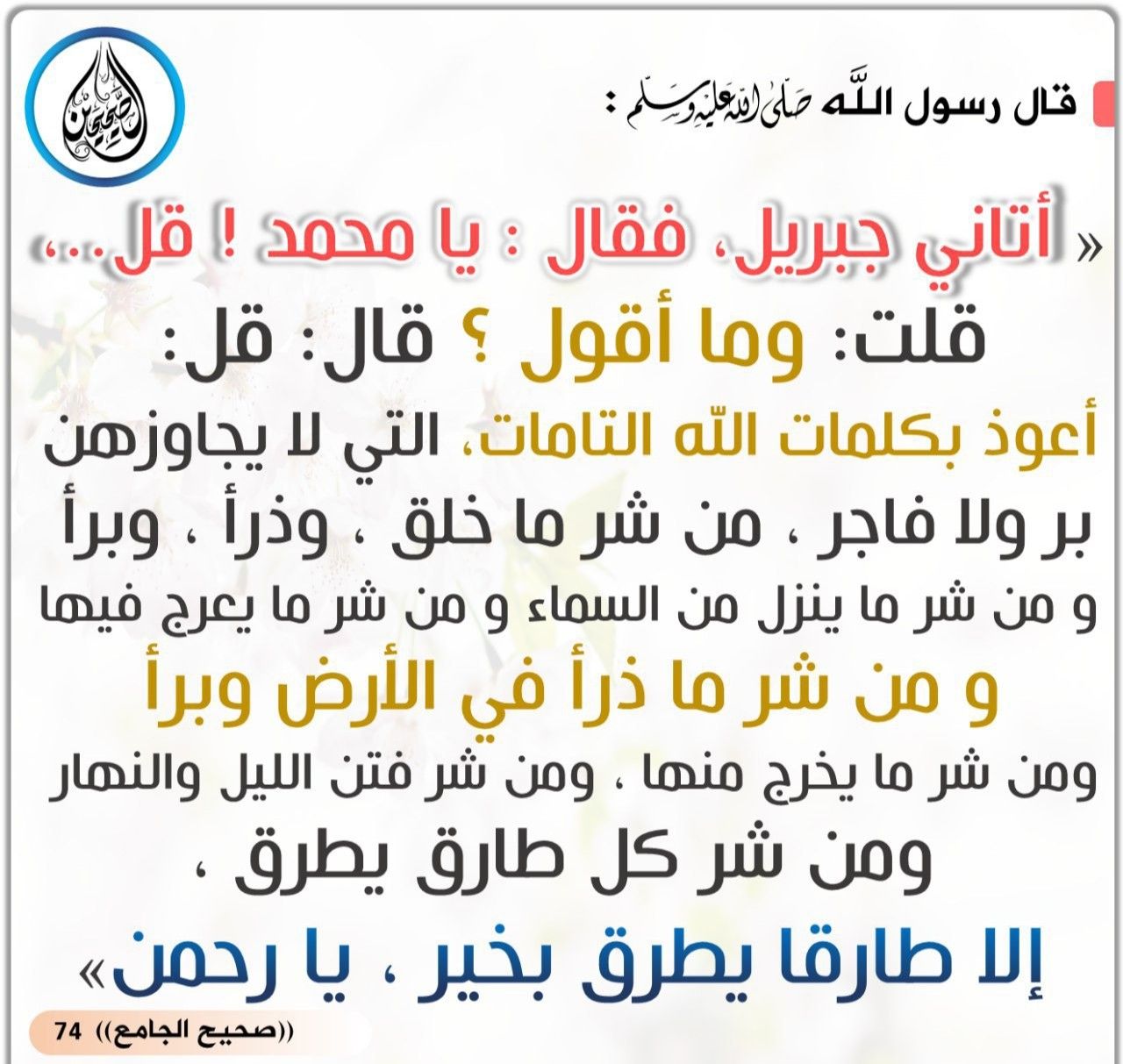 اعوذ بكلمات الله التامة التي لا يجاوزهن – ووردز