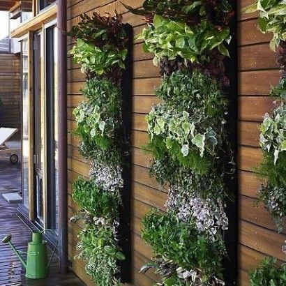 Como Decorar Paredes Con Macetas Fotos De Macetas De Pared Jardines Verticales Hacer Jardin Vertical Jardines