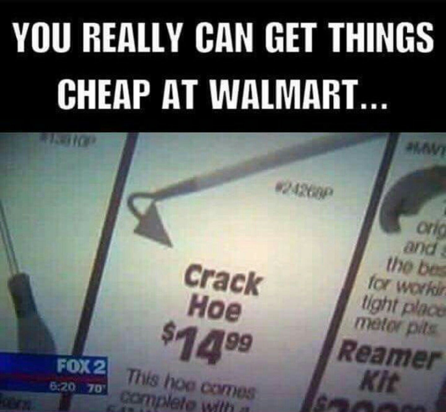 Crack hoes gone wild, free teen babes movies