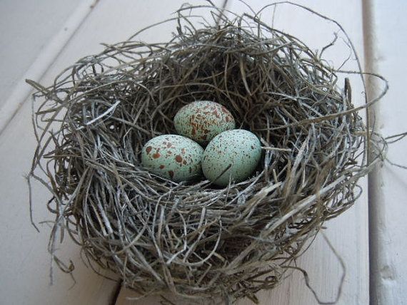 Woodland Forest Handmade Bird Nest With Pale Blue By AMarigoldLife 8 Woodland Forest Handmade Bird Nest With Pale Blue By AMarigoldLife 8