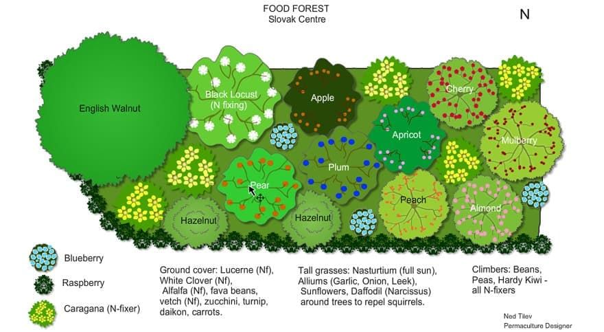 Permaculture Garden (Less Work + More Yields)