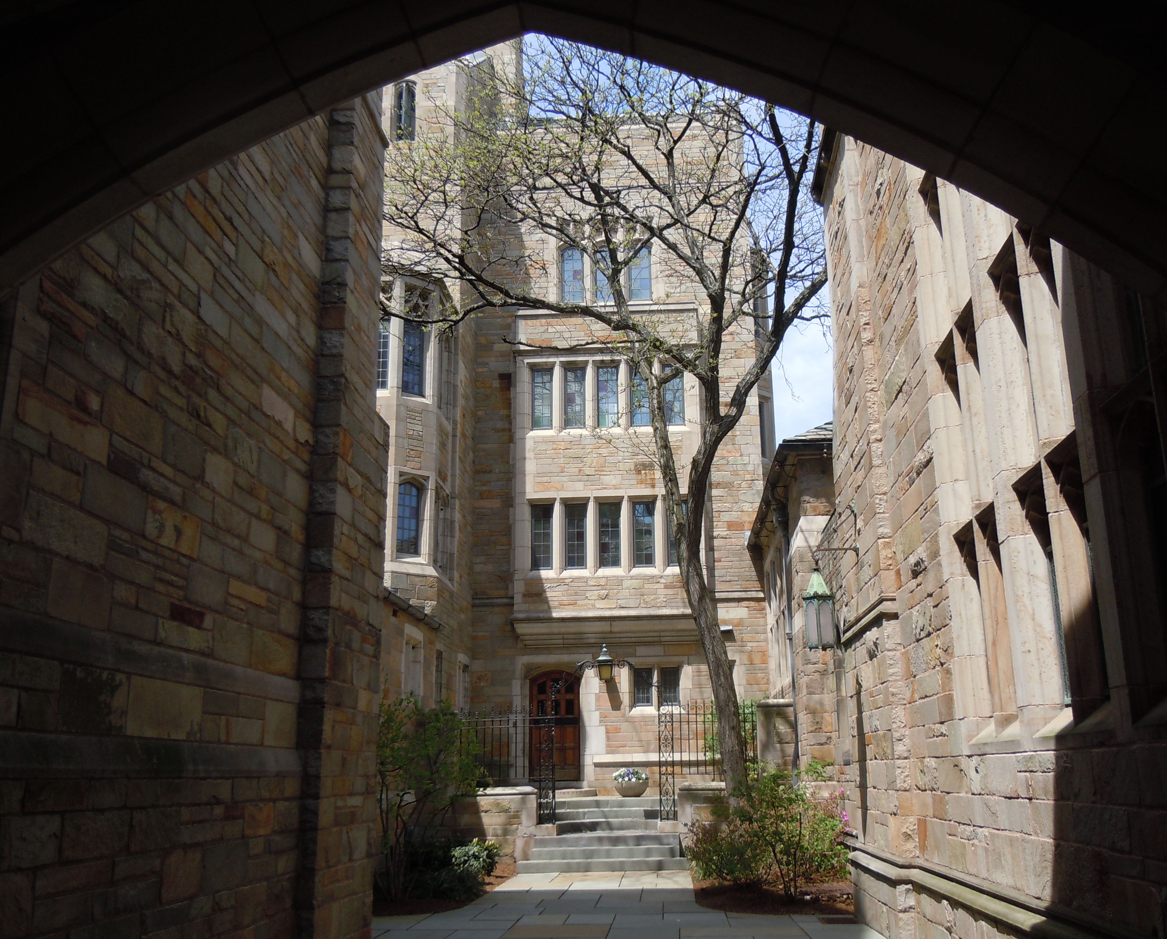 Buy college application essay yale