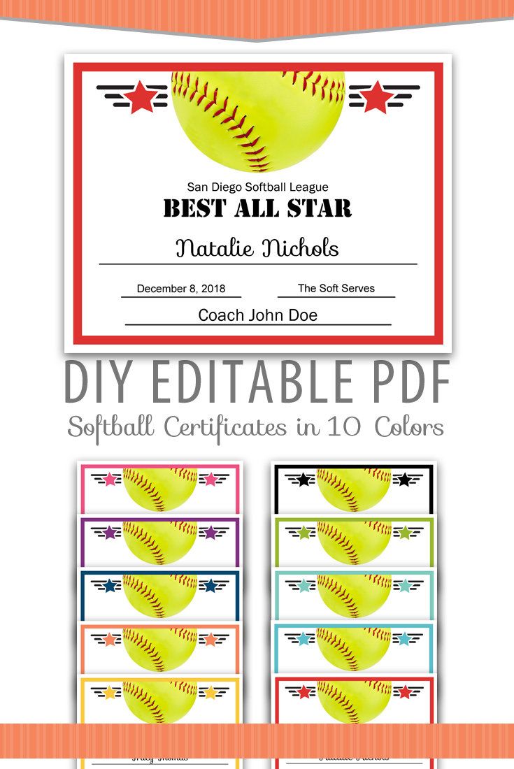 editable pdf sports team