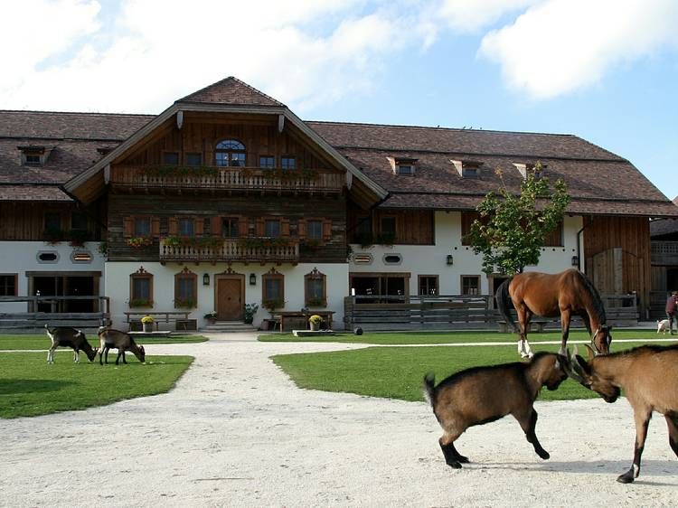 Gut Aiderbichl Salzburg 20 Km Ostlich Von Salzburg Liegt Das Gut