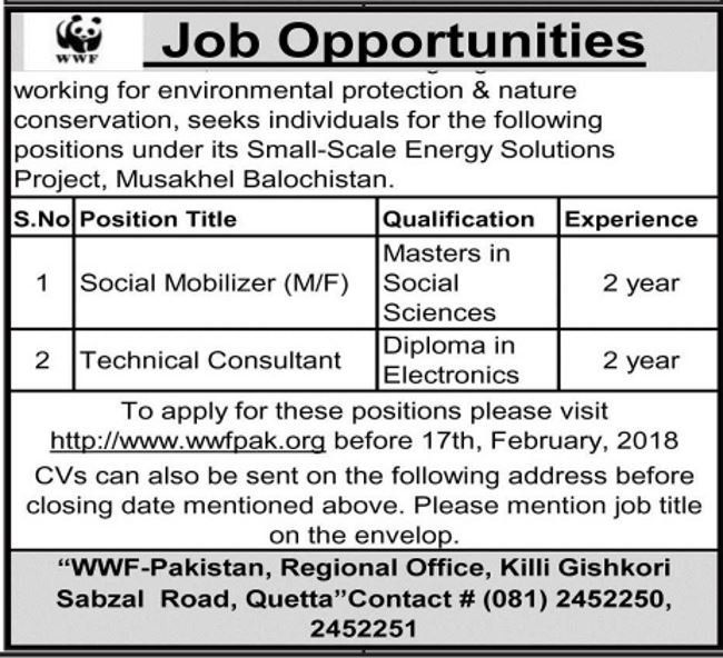 technical consultant job description