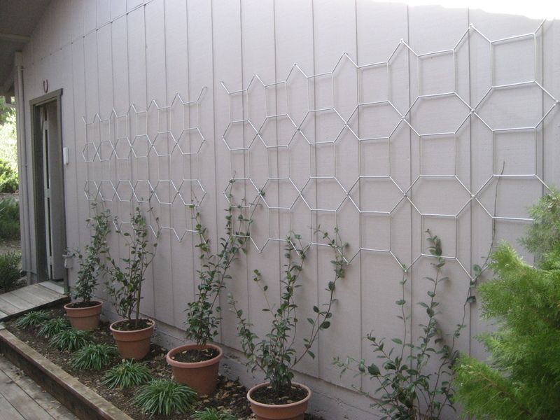 Ikea Garden Trellis