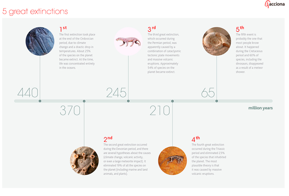 Species barrier information