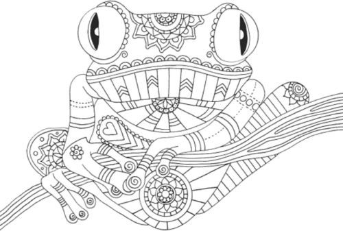 Download Tropical (Colour Me Mindful) (Small Adult Colouring Mindfulness Craft P/B Book) (avec images)