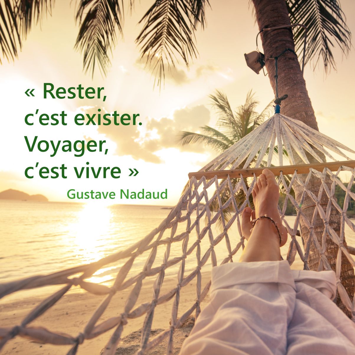 21+ Les plus belles citations de voyage | Citations de voyage, Citations