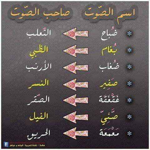اسم الصوت وصاحبه Learning Arabic Arabic Language Arabic Langauge