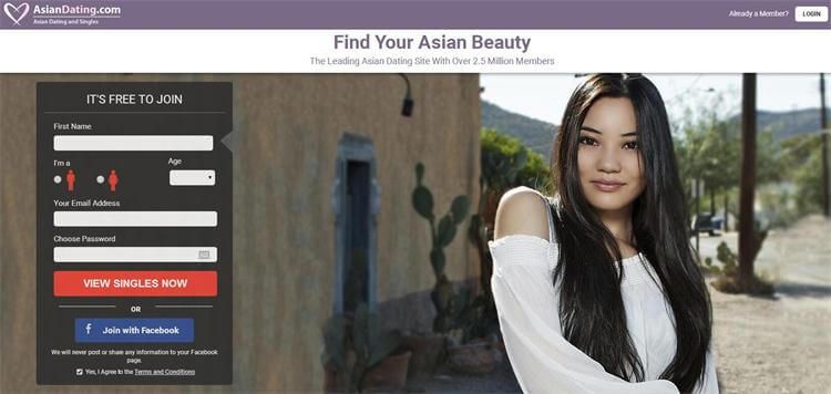 19+ The Top Best Online Dating Sites | Websites best online dating sites 2017