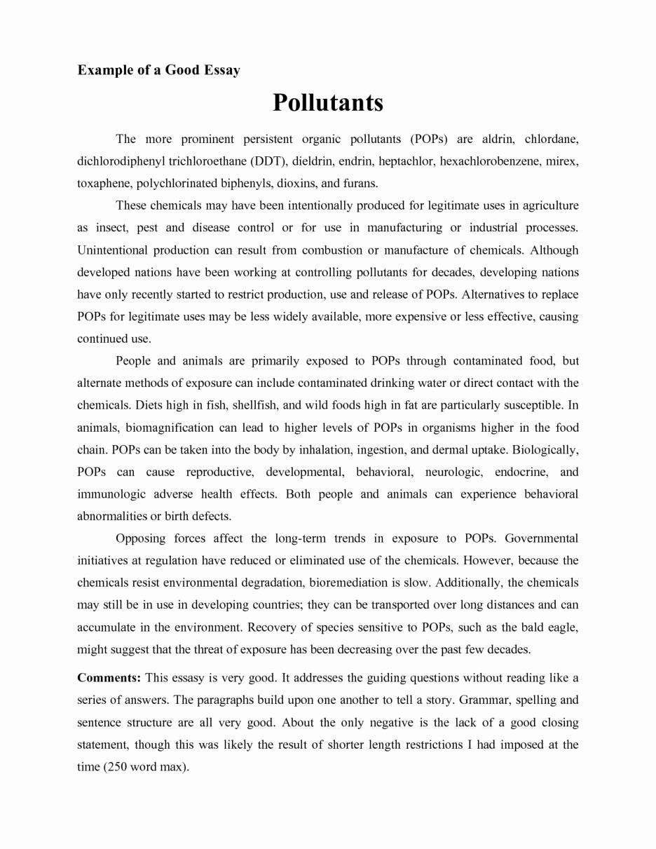 College application essay writing help you