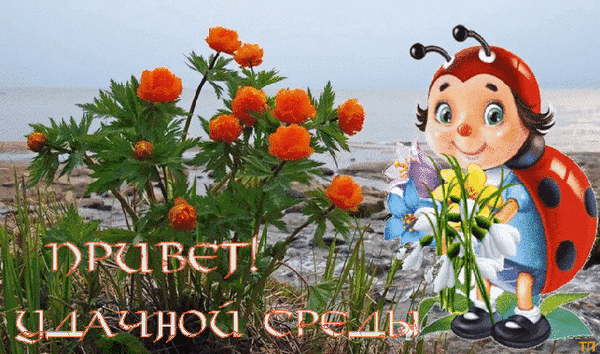 Пин от пользователя Kira Lanak на доске Дни недели_Доброе утро Доброе утро, Карт