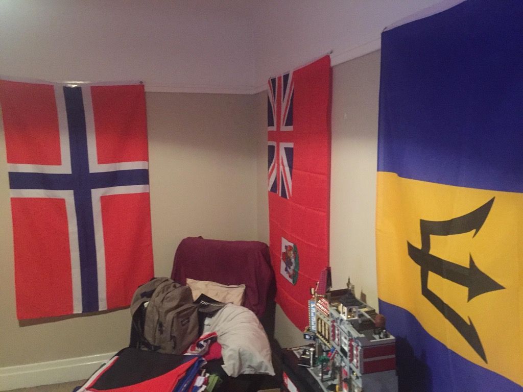 Flags For Your Room Bestroom one hype-flags-finna-nut-flag-meme-flag-flag-for-guys-dorm-room-hypeflags