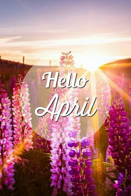 Hello April Picture Quotes