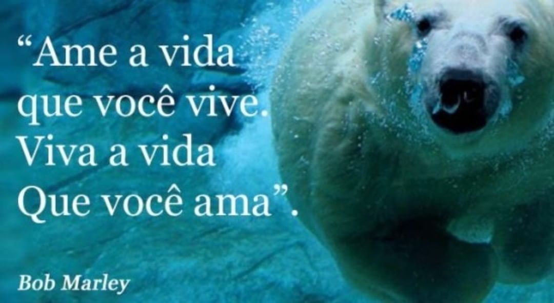 #dietas #emagrecer #dieta #emagrecimento #dietasemsofrer #perderpeso #emagrecercomsaude #saud...