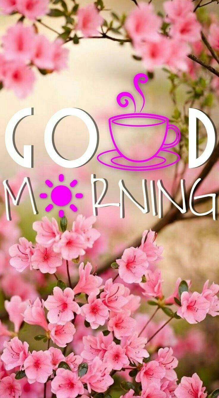 Pin by mano on Images | Good morning quotes, Good morning images