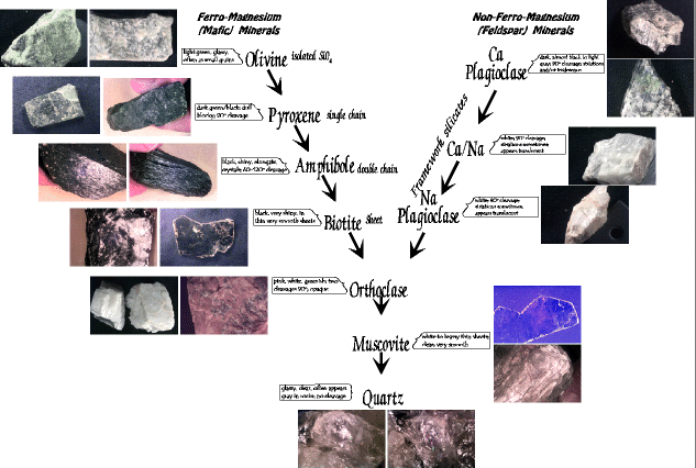 Bowens Reaction SeriesIgneous Rock Forming Minerals