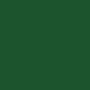 Ral 6035 Pearl Green Colors Painting και Solid Color Ral 6035 Pearl Green