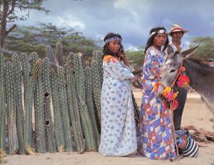 Familia wayuu. A veces se olvida la importancia de la tradición gastronómica de la comunidad wayúu o guajira http://esnobgourmet.com/2012/06/23/un-kai-brillante-gastronomia-guajira/ Folk Dresses, Dance Dresses, Most Beautiful Women, Beautiful People, World Of Fashion, Girl Fashion, Tribal People, Folk Dance, Tropical Colors