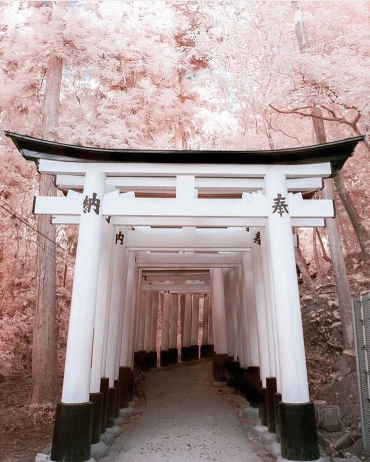 Follow Karri Best.japan for more – Amazing 📷 by W.vv.vv - #japanCafe #japanInterior #japanPaisaje