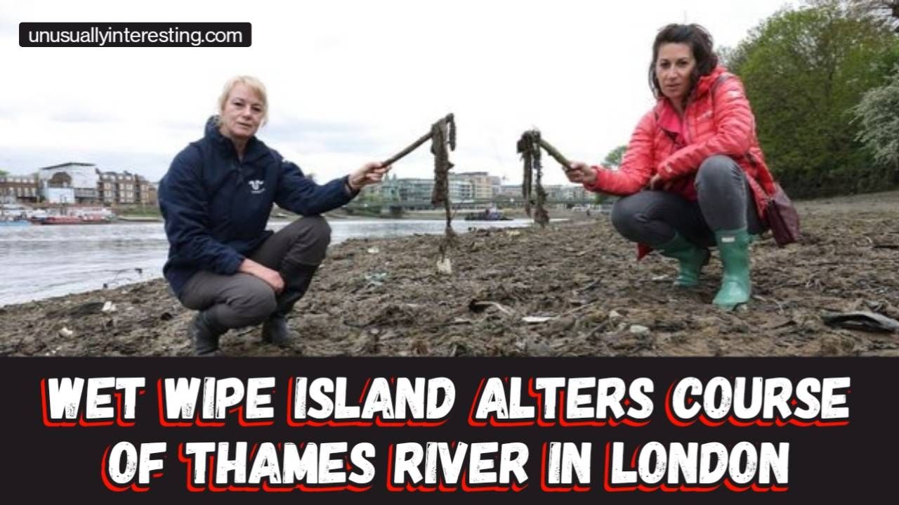 Unusual News, Bizarre News, London Tourist, Wet Wipe, River Thames, Alters, Wipes, Island, Vacation