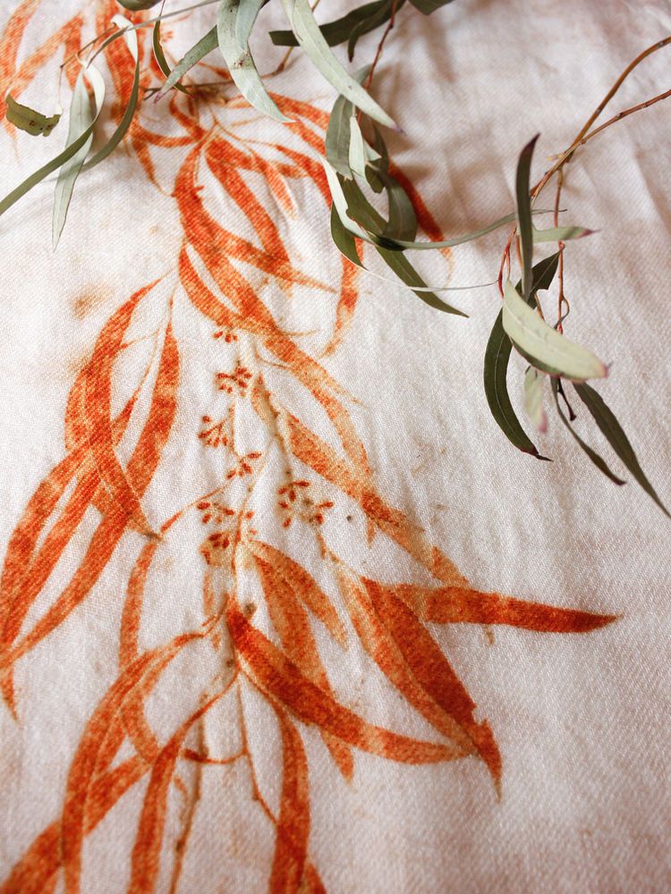 How to Get Red Eco-prints with Eucalyptus Eucalyptus Dye, Types Of Eucalyptus, Eco Dyeing Fabric, How To Dye Fabric, Eco Printing Textiles, Printing On Fabric, Diy Prints, Leaf Prints, Botanical Dyeing
