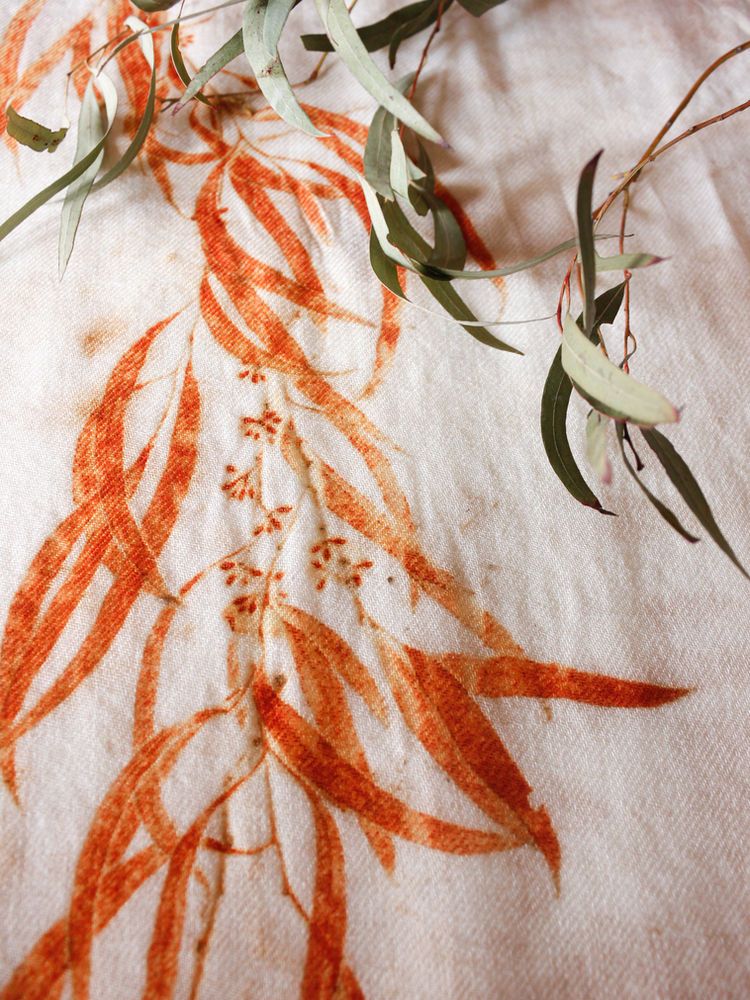 How to Get Red Eco-prints with Eucalyptus