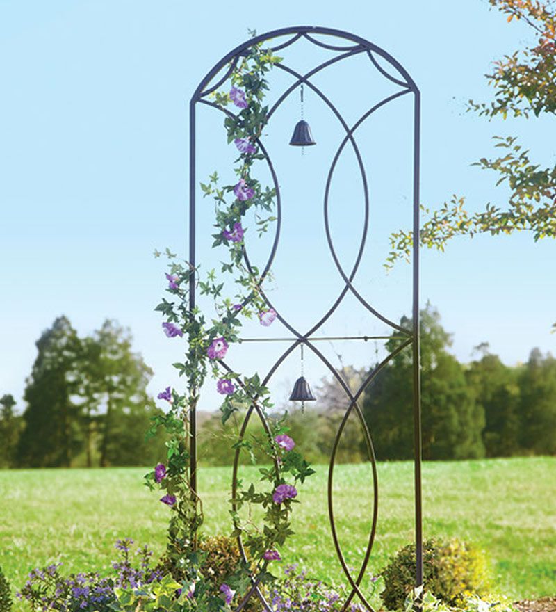 Pin By Ulrike On Design Garden Trellis Metal Plants Garden Trellis Metal, Metal Garden Trellis And Arches