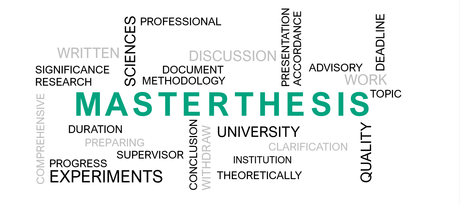 Master thesis social sciences
