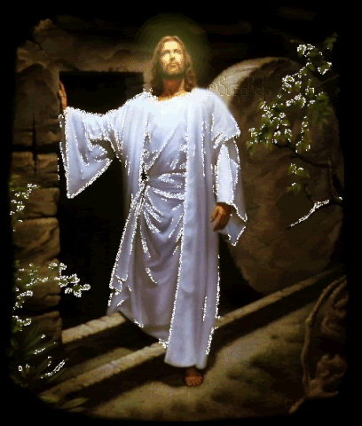 Our Lord rose from the Dead three days after His crucifixion. #lion #jesus #christ