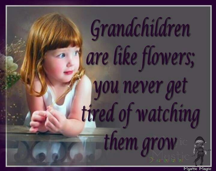 Grandchildren Quote Picture Quote #1 #grandchildrenquotes Grandchildren Quote Pi... - #grandchildren #grandchildrenquotes #picture #quote - #GrandkidsQuotes #grandchildrenquotes Grandchildren Quote Picture Quote #1 #grandchildrenquotes Grandchildren Quote Pi... - #grandchildren #grandchildrenquotes #picture #quote - #GrandkidsQuotes #grandchildrenquotes Grandchildren Quote Picture Quote #1 #grandchildrenquotes Grandchildren Quote Pi... - #grandchildren #grandchildrenquotes #picture #quote - #Gra #grandchildrenquotes