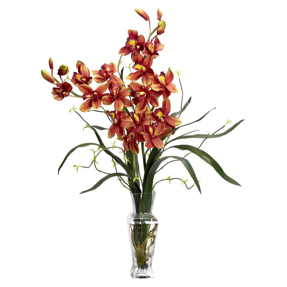 Cymbidium Roseum