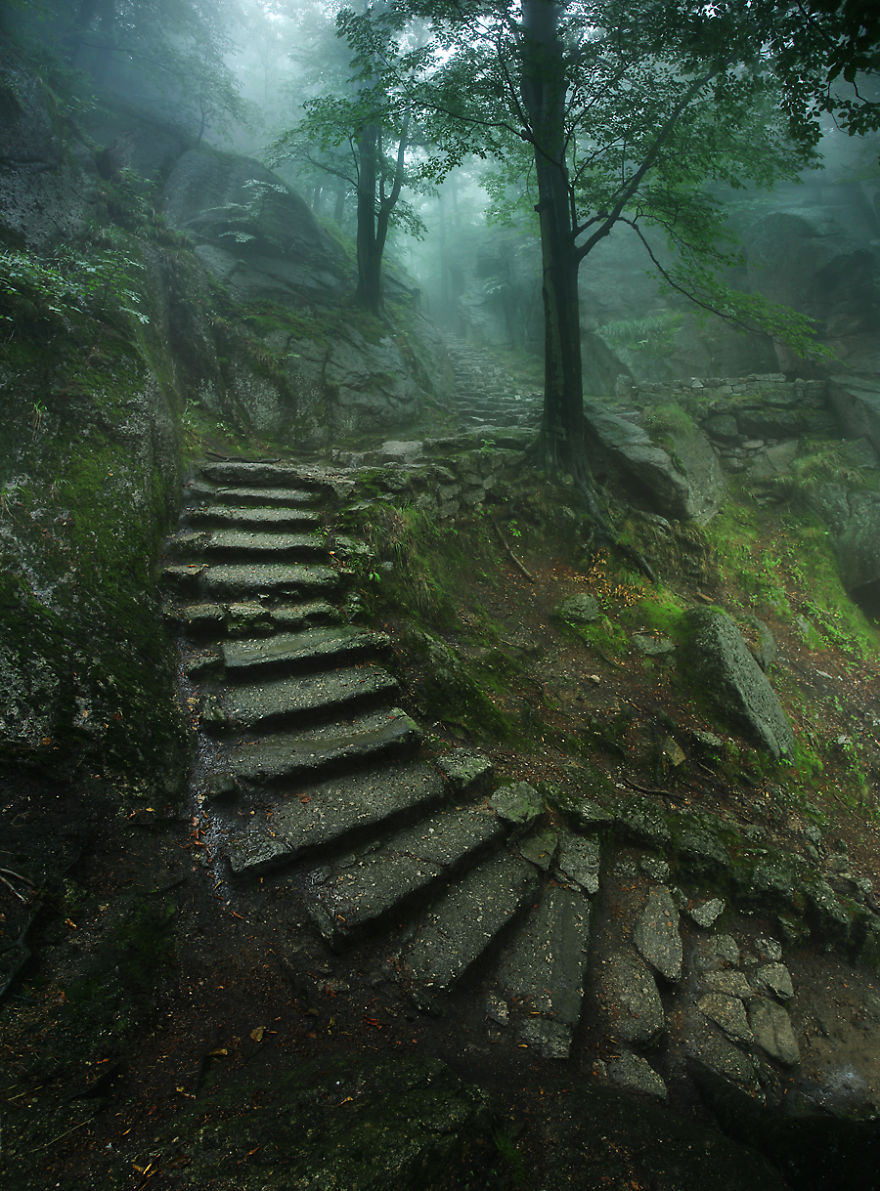 I’m A Mountain Photographer From Poland. Here’s What I’ve Captured So Far | Bored Panda Dark Forest Aesthetic, Dark Green Aesthetic, Mountains Aesthetic, Fantasy Aesthetic Nature, Oracle Aesthetic Dark, Cottagegore Aesthetic, Dark Naturalism Aesthetic, Grunge Fairycore Aesthetic, Castle Aesthetic