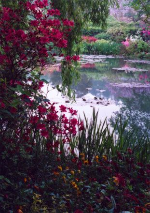 Barbara Sandson Monet\u0027s Garden, No 1 things to see Pinterest - paisajes jardines Barbara Sandson Monet\u0027s Garden, No 1 things to see Pinterest - paisajes jardines