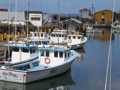 lobster boat diy lobster boats in eastern prince edward island boats lobster boat diy lobster boats in eastern prince edward island boats