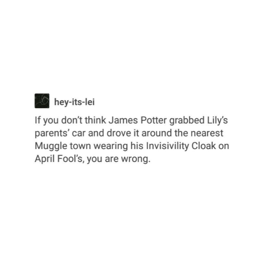 #wattpad #fanfiction "This is all your bloody fault, Malfoy." When an accidental spell throws Hermione Granger and Draco Malfoy back in time to the Marauder's era, they are forced to work together to save everyone from a potentially fatal time mishap. But one run-in with Lily Evans and the Marauders changes it a... Harry Potter Tumblr, Harry Potter Jokes, Harry Potter World, Harry Potter Fandom, Gryffindor, Hogwarts, When Love Hurts, Yer A Wizard Harry, Harry Potter Headcannons