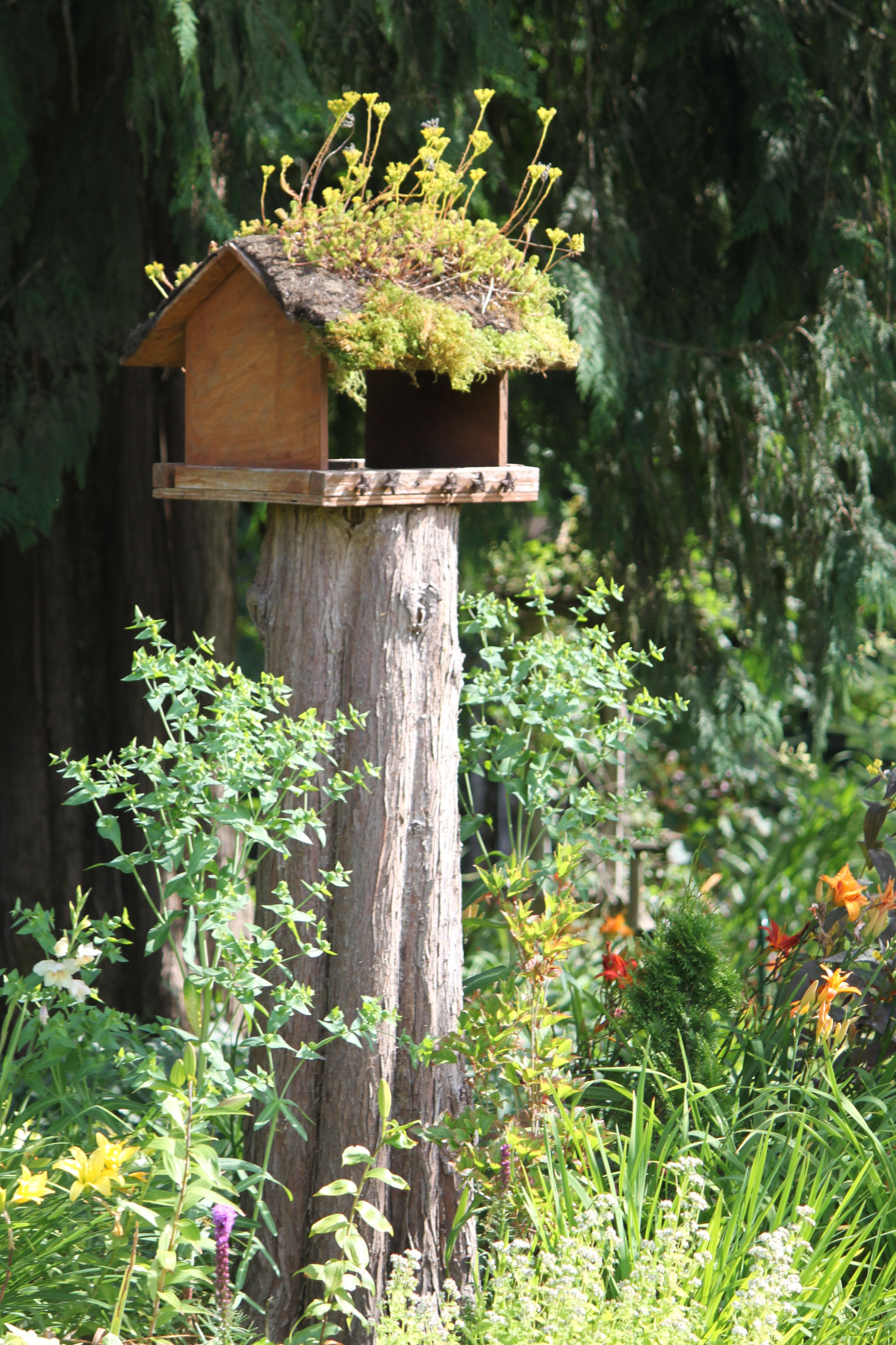 Birdhouse | Backyard landscaping, Bird houses, Garden Birdhouse | Backyard landscaping, Bird houses, Garden on Birds Backyard Landscapes id=71602